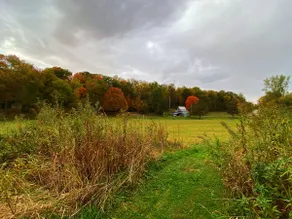 Cabin on Trout Stream & 24 Acres Near Decorah! - Image 3