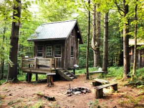 Oma's Cabin - A Quiet, Off-Grid Forest Retreat - Image 2