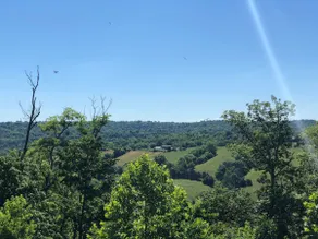 Kentucky River Villa - Image 3