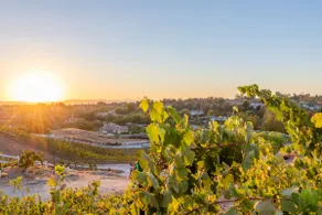 Hot Tub🍇Vineyard Estate 🍇Wine Country - Image 2