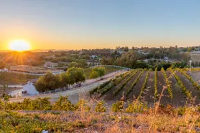 Hot Tub🍇Vineyard Estate 🍇Wine Country - Image 5