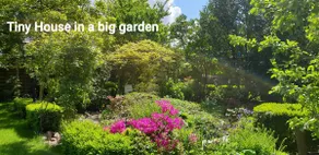 Guesthouse/cottage in Zuidlaren! - Image 2
