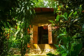 Duplex cabin in the jungle - Image 2
