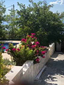 Villa Panos Nea Peramos - Image 3