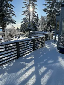 Forest by the Sea Rentals - Image 3