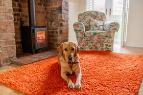 Strayside Cottage Harrogate. Dog friendly. 5 min walk hospital. 15 min walk town - Image 3