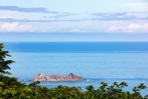 Luxurious Ocean View 18 Acre Private Rainforest Estate, Wildlife and Concierge - Image 4