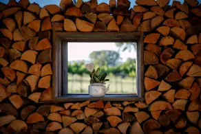 Vacation home on Lake Neusiedl - Image 3