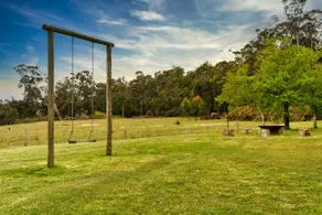 The White House in Wombat Forest - Image 4
