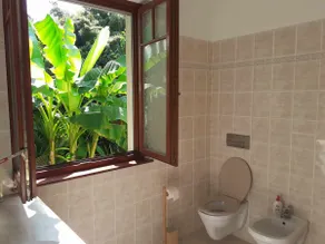 House with little tropical garden - Image 3