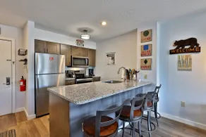 1Br Ski-in, Ski-out With King Bed- Okemo Mtn Lodge condo - Image 3