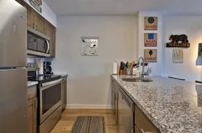 1Br Ski-in, Ski-out With King Bed- Okemo Mtn Lodge condo - Image 4