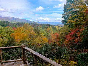 Heavenly View Mountain Cabin Hayesville, NC - Image 3