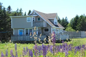 Beach Haven - Image 4