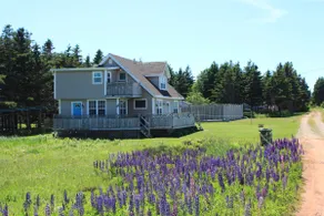 Beach Haven - Image 5