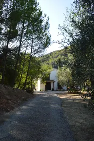 Finca la Noguera-Sierra Cazorla (farmhouse) - Image 4
