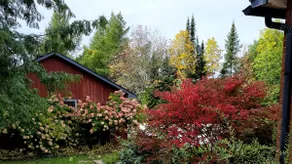 Beautiful estate, in eastern townships, 4 bdr, - Image 5