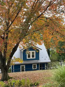 The Cottage on the Hill - Image 4