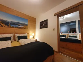 Leuner vacation home, apartment at Trisselwand - Image 2