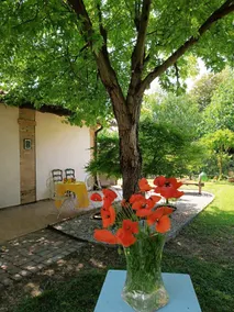 casa borgo zucchero - Image 5