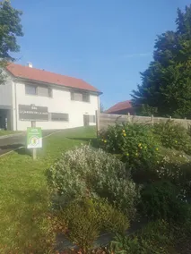 Le jardin de la mer - Image 3