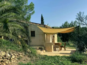 La Olivita - Emmita Farm - Image 4