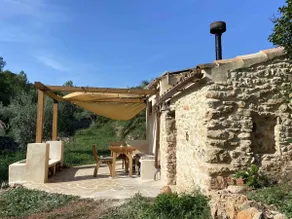 La Olivita - Emmita Farm - Image 5