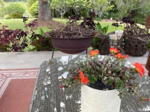 Country Haven-more than your usual bnb! - Image 4