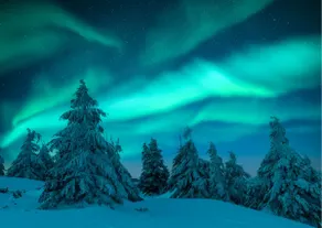 Arctic Circle Luxury House - next to Santa's Village - Image 5