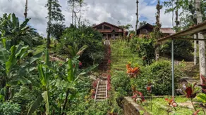 Cozy Country House, groups, families, etc. - Image 5