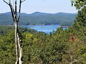 Endless Views - Private 5BR Luxury Lodge Hot Tub - Image 4