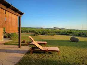 House Linas - Roccabianca biz - Image 5