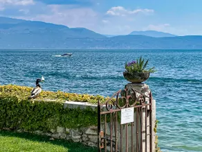 Luxury Lake View Apartments - Image 5