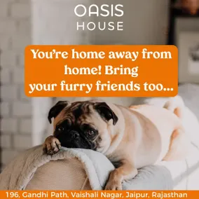 Oasis House - Image 4