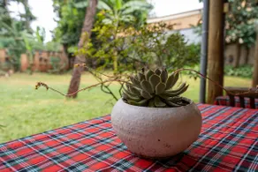 Bonsai Villa - Image 4
