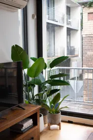 Two bedroom light filled boutique apartment - Image 4