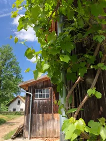 Prühmühle: Residential and event house on the water - Image 2