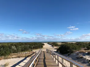 Our Bay Dream - Image 2