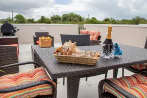 Conch Shells - Image 4
