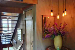 Daisy Bays' Hotel California - Image 4