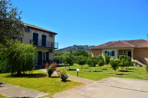 Joanna's Orange Garden I - Image 5