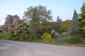 Holiday Home At the Black Sheep - Image 3