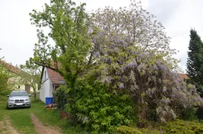 Holiday Home At the Black Sheep - Image 4