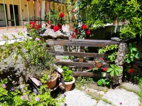 ”Le rondinelle”: pleasant nest for your vacation - Image 2