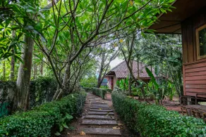 Nok Kaew (Parrot) Bungalow 3 - Image 5