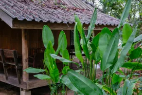 Nok Kaew (Parrot) Bungalow 3 - Image 3