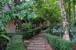Nok Kaew (Parrot) Bungalow 3 - Image 4