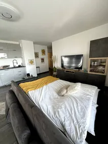 2-bedroom design apartment + XXL terrace (25 m²) near Strasbourg - Image 5