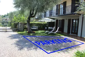 Relax in the Olive Grove - Image 3