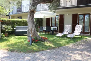 Relax in the Olive Grove - Image 2